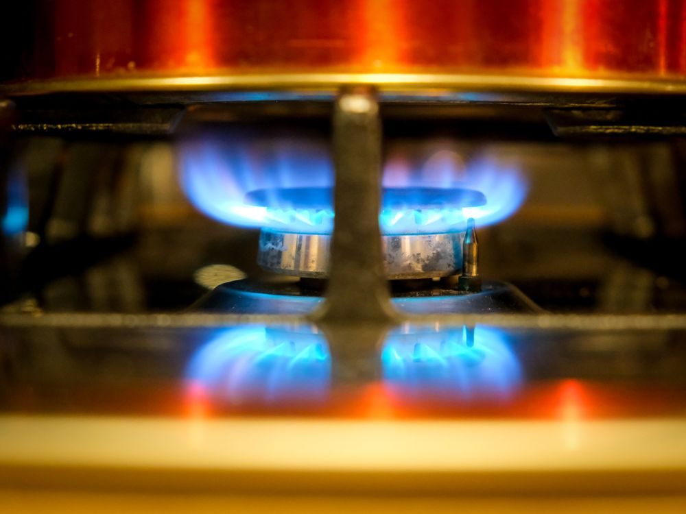Oven & Hob Repair